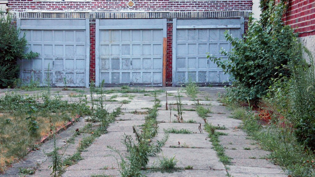 Overgrown Driveways