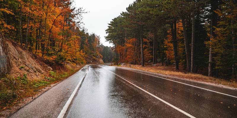 Asphalt Paving