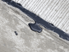 Seal a Concrete Driveway